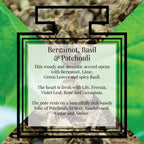 Pairfum Fragrance Bergamot Basil Patchouli Description