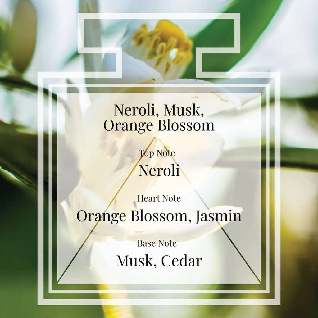 Pairfum Fragrance Neroli Musk Orange Blossom Triangle Ingredients