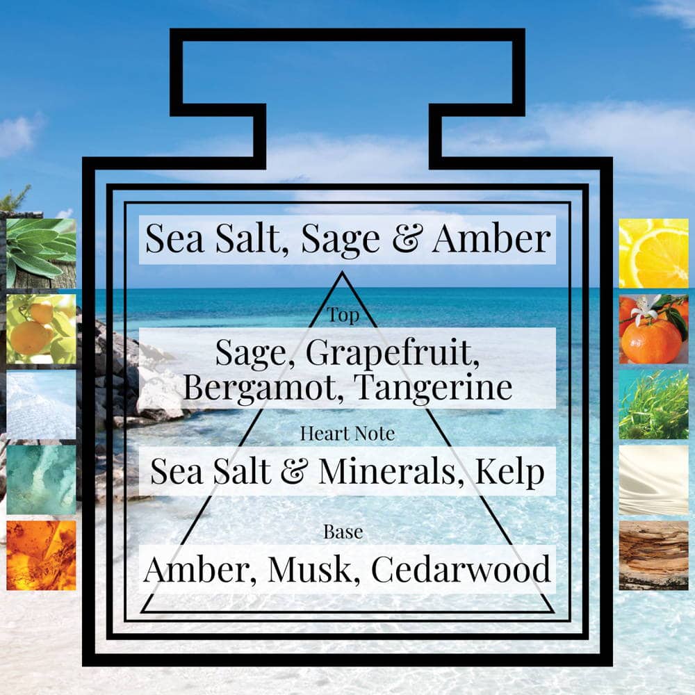 Pairfum Fragrance Sea Salt Sage Amber Triangle Ingredients